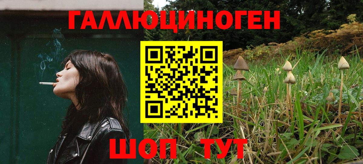 Галлюциногенные грибы мицелий  Вход с VPN  Галлюциногенные грибы GOLDEN TEACHER  Вязьма 